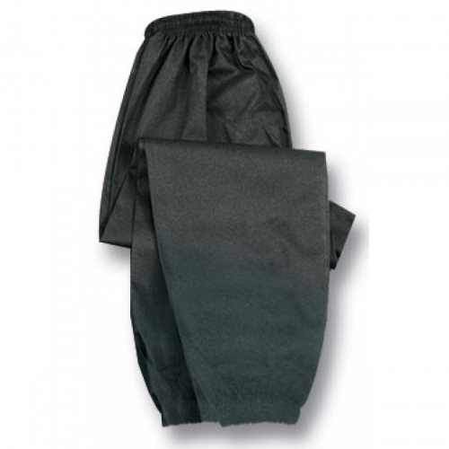 Kung Fu Pants